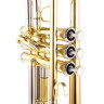 Thomann TR 400 G Bb-Труба Thomann TR 400 G Bb-Trumpet