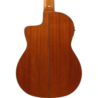 Ibanez GA3007CE-NT Ibanez GA3007CE-NT