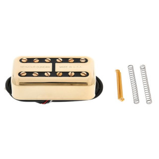 Seymour Duncan Псайклон Фильтр-Тронный мост G Seymour Duncan Psyclone Filter'Tron Bridge G