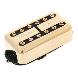 Seymour Duncan Псайклон Фильтр-Тронный мост G Seymour Duncan Psyclone Filter'Tron Bridge G