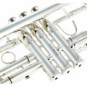 Труба Thomann ETR-3000S Eb/D- Trumpet Thomann ETR-3000S Eb/D- Trumpet