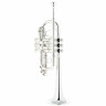 Труба Thomann ETR-3000S Eb/D- Trumpet Thomann ETR-3000S Eb/D- Trumpet