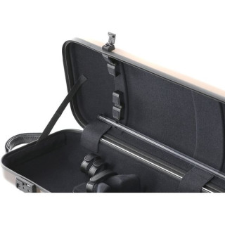 Ге́ва Эир Энниве́рсари Скрипичный кейс BG Gewa Air Anniversary Violin Case BG