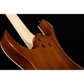 Ibanez GRGR221PA-AQB Ibanez GRGR221PA-AQB