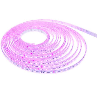 Светодиодная полоса Botex RGBWW IP 10m Botex LED Stripe RGBWW IP 10m