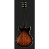 Ibanez JSM100-VT Джон Скофилд Ibanez JSM100-VT John Scofield