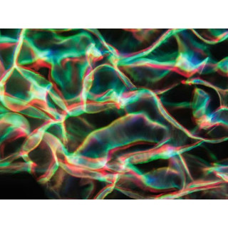 Проектор эффектов Eurolite LED WF-40 Water Effect Eurolite LED WF-40 Water Effect