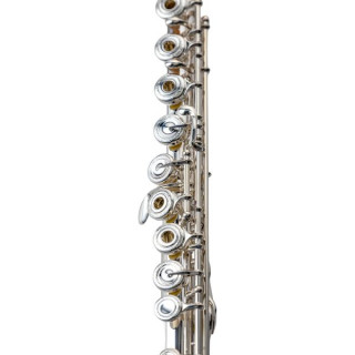 Азуми AZS2RE-L Flora Концертная флейта Azumi AZS2RE-L Flora Concert Flute