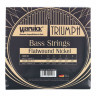 Струны для бас-гитары Warwick 44200 Triumph Bass Strings Warwick 44200 Triumph Bass Strings