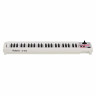 Миди-клавиатура Roland A-49 White Roland A-49 White