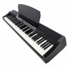 Цифровое пианино Alesis Prestige Alesis Prestige
