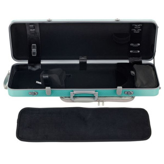 Gewa Pure Vn Case OC Fun G/G Gewa Pure Vn Case OC Fun G/G