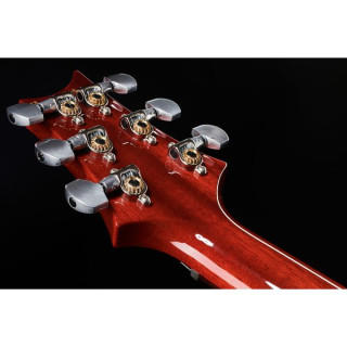 Специальный полупустотелый CY PRS PRS Special Semi-Hollow CY