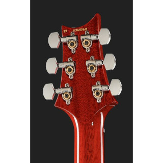 Специальный полупустотелый CY PRS PRS Special Semi-Hollow CY