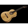 Классическая гитара Hanika Flamenco KF Hanika Flamenco KF