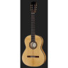 Классическая гитара Hanika Flamenco KF Hanika Flamenco KF