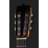 Классическая гитара Hanika Flamenco KF Hanika Flamenco KF