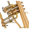 Флюгельгорн Schagerl "AGLAEA" Bb- Flugelhorn