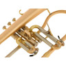Флюгельгорн Schagerl "AGLAEA" Bb- Flugelhorn