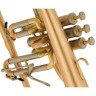 Флюгельгорн Schagerl "AGLAEA" Bb- Flugelhorn