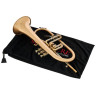 Флюгельгорн Schagerl "AGLAEA" Bb- Flugelhorn