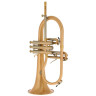 Флюгельгорн Schagerl "AGLAEA" Bb- Flugelhorn