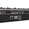 Moog Matriarch Темный Moog Matriarch Dark
