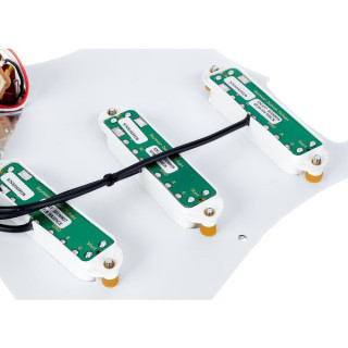 Seymour Duncan Все, что заряжено топором, ЧТ Seymour Duncan Everything Axe Loaded PG WH