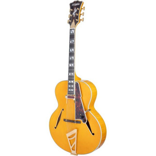 DAngelico Excel Style B Янтарный DAngelico Excel Style B Amber