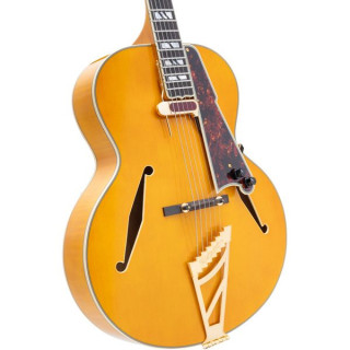 DAngelico Excel Style B Янтарный DAngelico Excel Style B Amber