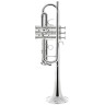 Шагерль "1961" C-Труба S Schagerl "1961" C-Trumpet S