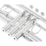 Шагерль "1961" C-Труба S Schagerl "1961" C-Trumpet S
