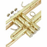 Bach LR18037G Bb-Trumpet Bach LR18037G Bb-Trumpet