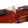 Скрипка Gewa Maestro 6 Antiqued Violin 1/4 Gewa Maestro 6 Antiqued Violin 1/4