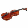 Скрипка Gewa Maestro 6 Antiqued Violin 1/4 Gewa Maestro 6 Antiqued Violin 1/4