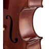 Gewa Maestro 31 виолончель 7/8 Gewa Maestro 31 Cello 7/8