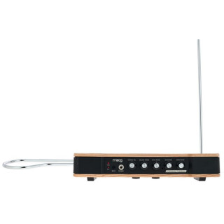 Муг Эфирно-волновой терменвокс Moog Etherwave Theremin