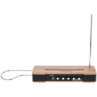 Муг Эфирно-волновой терменвокс Moog Etherwave Theremin