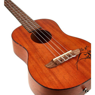 Ortega RU5MM-Гавайская гитара TE Ortega RU5MM-TE Ukulele