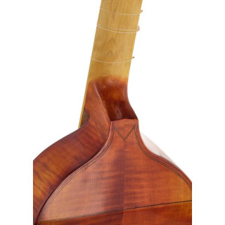 Рот и Джуниус Тенор-виолончель, Джон Роуз Roth & Junius Tenor Viol Set John Rose