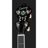 Де́ринг Голден Эра 5-Строчный Банджо Deering Golden Era 5-String Banjo