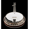 Де́ринг Голден Эра 5-Строчный Банджо Deering Golden Era 5-String Banjo