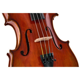 Истман Альберт Небель Скрипка VL601G+ Eastman Albert Nebel Violin VL601G+