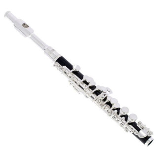 Флейта Thomann PFL-400 Piccolo Flute Syntheti