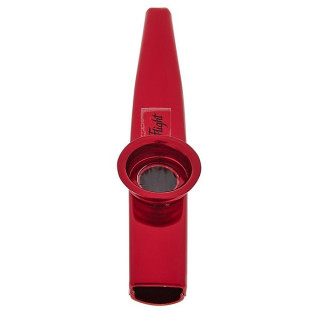 Полет КЗП Элис Экклэнд Сиг. Казу Flight KZP Elise Ecklund Sig. Kazoo r