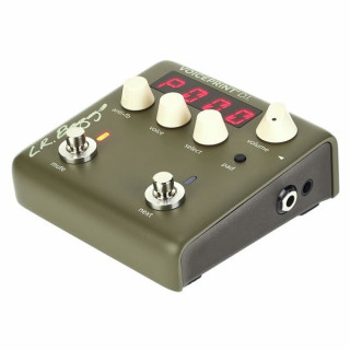 Запись голоса Л.Р.Бэггса L.R.Baggs Voiceprint DI