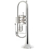 Петр Оберраух Милано Тромбон Bb 11.05 S Peter Oberrauch Milano Bb-Trumpet 11.05 S