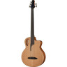 Акустическая бас-гитара Furch Bc 61-CM 5 Fretless