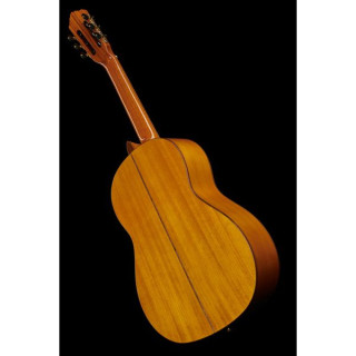 Ortega R170F Ortega R170F