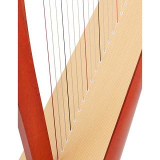 Salvi M2 34 Вишня Сипарио Биокарбон Salvi M2 34 Cherry Sipario Biocarbon
